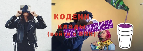 хмурый Инсар