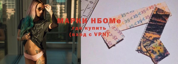 хмурый Инсар