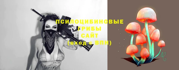 стаф Иннополис