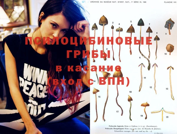 круглые Инта
