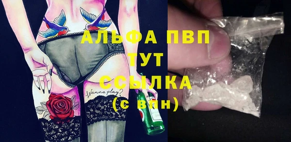 стаф Иннополис