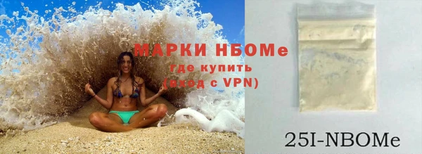 хмурый Инсар
