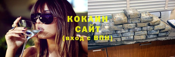хмурый Инсар