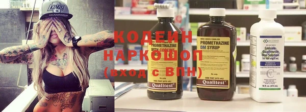 хмурый Инсар